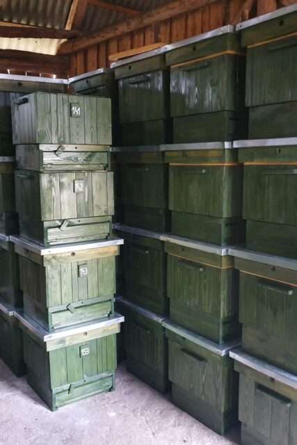 miód naturalny - pasieka - sprzedaż miodu