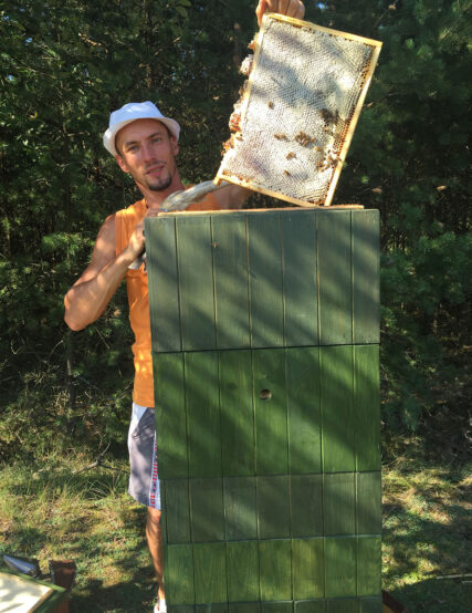 pszczelarz pasieka miód sklep